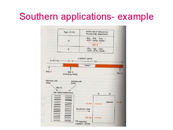 Southern applications- example 