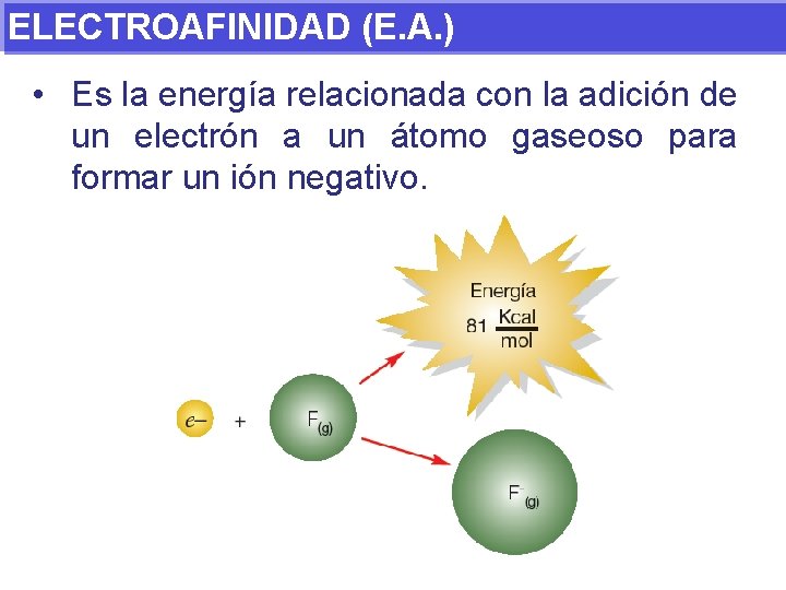 ELECTROAFINIDAD (E. A. ) • Es la energía relacionada con la adición de un