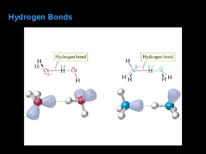 Hydrogen Bonds 