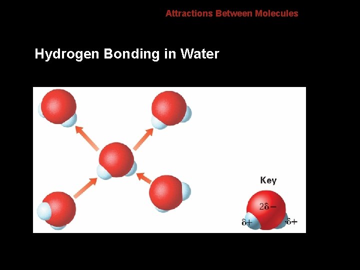 8. 4 Attractions Between Molecules Hydrogen Bonding in Water 