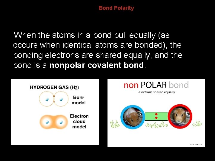 8. 4 Bond Polarity When the atoms in a bond pull equally (as occurs