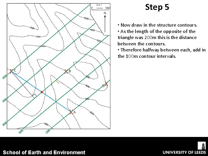 Step 5 • Now draw in the structure contours. • As the length of Step 5 • Now draw in the structure contours. • As the length of