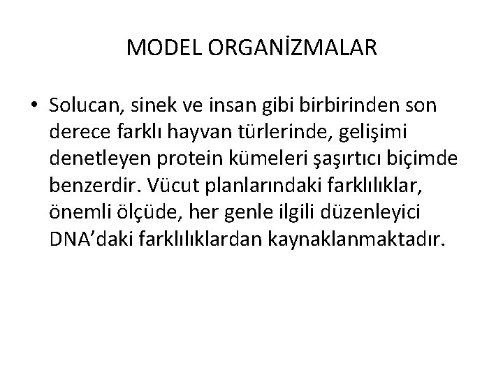 MODEL ORGANİZMALAR • Solucan, sinek ve insan gibi birbirinden son derece farklı hayvan türlerinde,