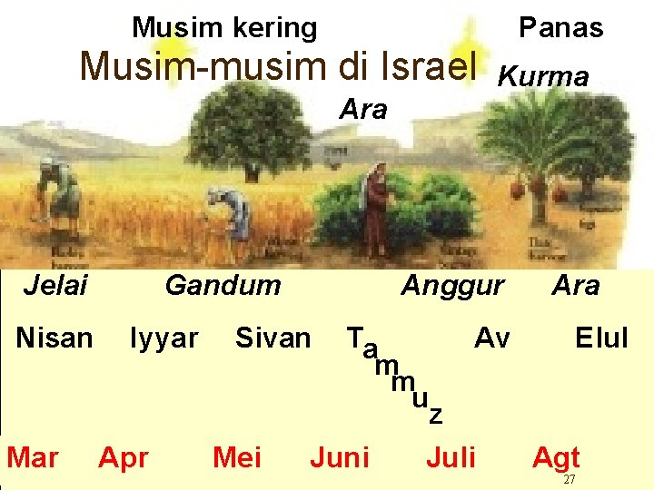 Musim kering Panas Musim-musim di Israel Kurma Ara Jelai Nisan Gandum Iyyar Anggur Ara