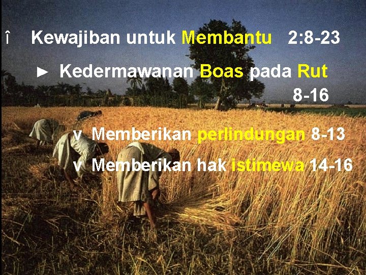 î Kewajiban untuk Membantu 2: 8 -23 ► Kedermawanan Boas pada Rut 8 -16