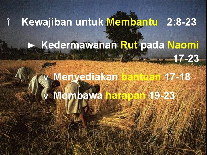 î Kewajiban untuk Membantu 2: 8 -23 ► Kedermawanan Rut pada Naomi 17 -23