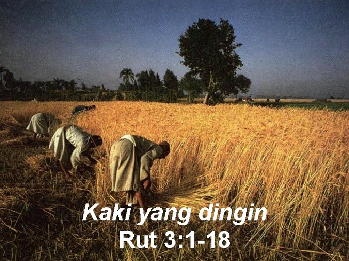 Kaki yang dingin Rut 3: 1 -18 