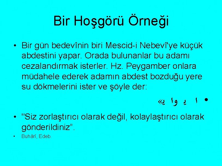 Bir Hoşgörü Örneği • Bir gün bedevînin biri Mescid-i Nebevî'ye küçük abdestini yapar. Orada