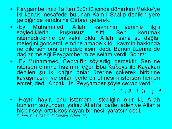  • Peygamberimiz Taiften üzüntü içinde dönerken Mekke'ye iki konak mesafede bulunan Kam-i Saalip