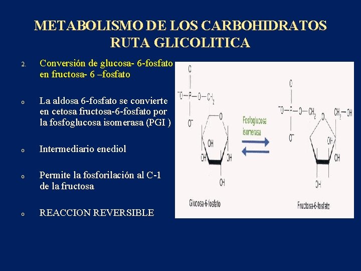 METABOLISMO DE LOS CARBOHIDRATOS RUTA GLICOLITICA 2. o o Conversión de glucosa- 6 -fosfato