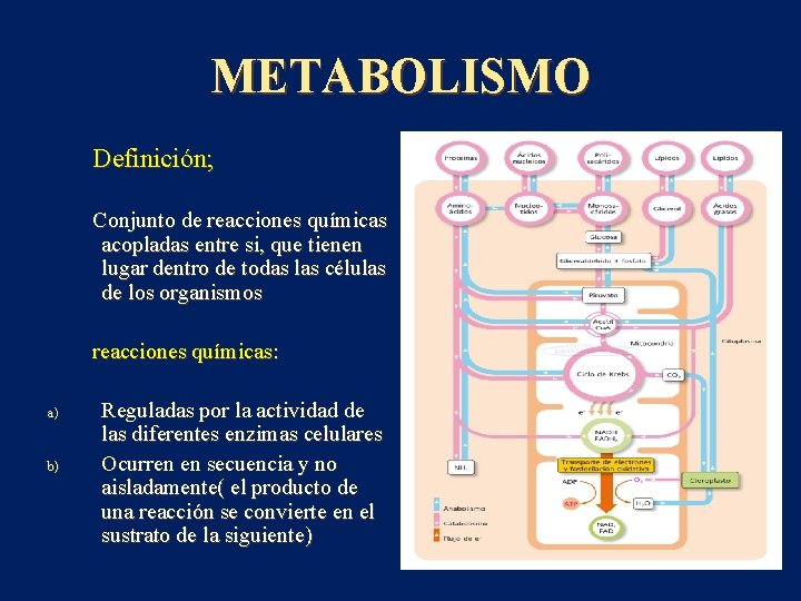 METABOLISMO Definición; Conjunto de reacciones químicas acopladas entre si, que tienen lugar dentro de
