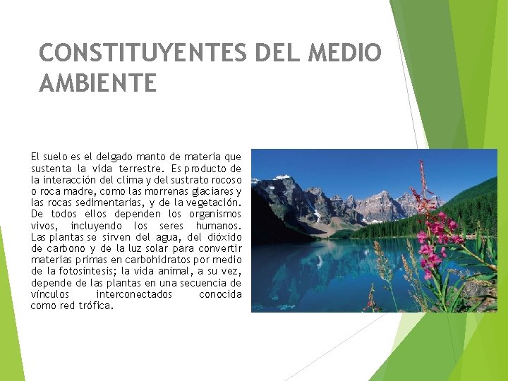 CONSTITUYENTES DEL MEDIO AMBIENTE El suelo es el delgado manto de materia que sustenta