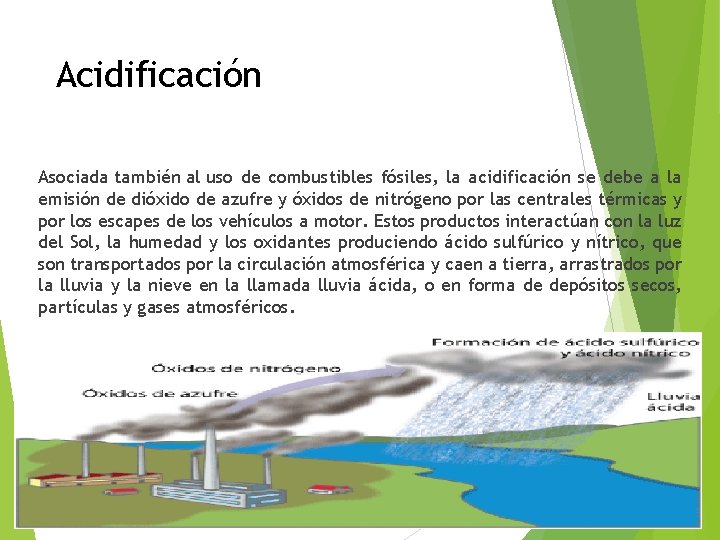 Acidificación Asociada también al uso de combustibles fósiles, la acidificación se debe a la