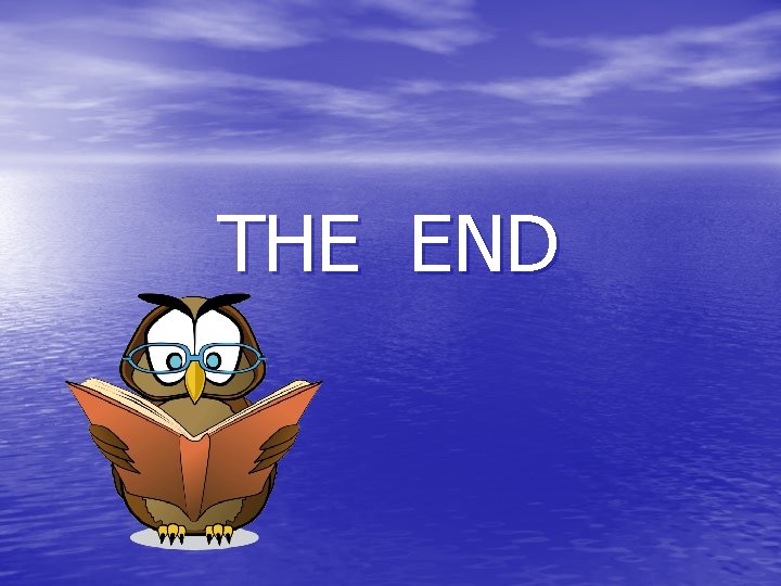 THE END 