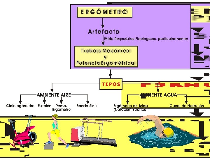 Copyright © 2016 Edgar Lopategui Corsino | Saludmed 