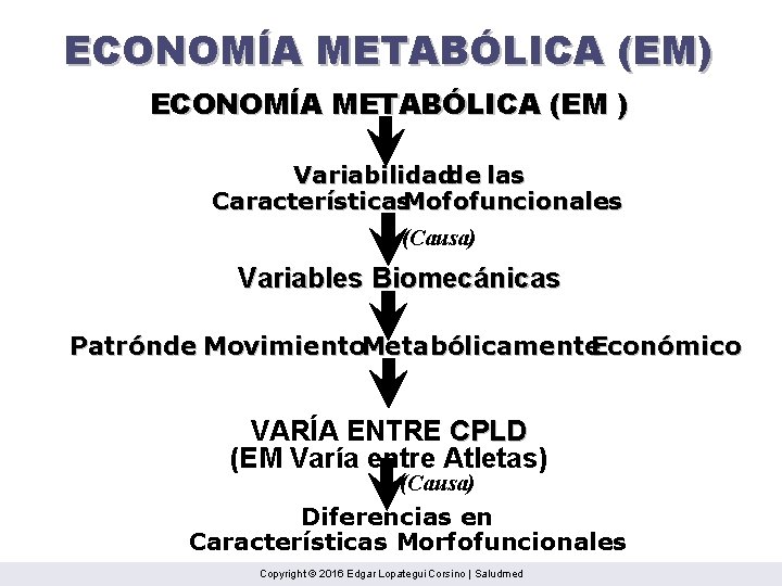 ECONOMÍA METABÓLICA (EM) ECONOMÍA METABÓLICA (EM ) Variabilidadde las Características. Mofofuncionales (Causa) Variables Biomecánicas