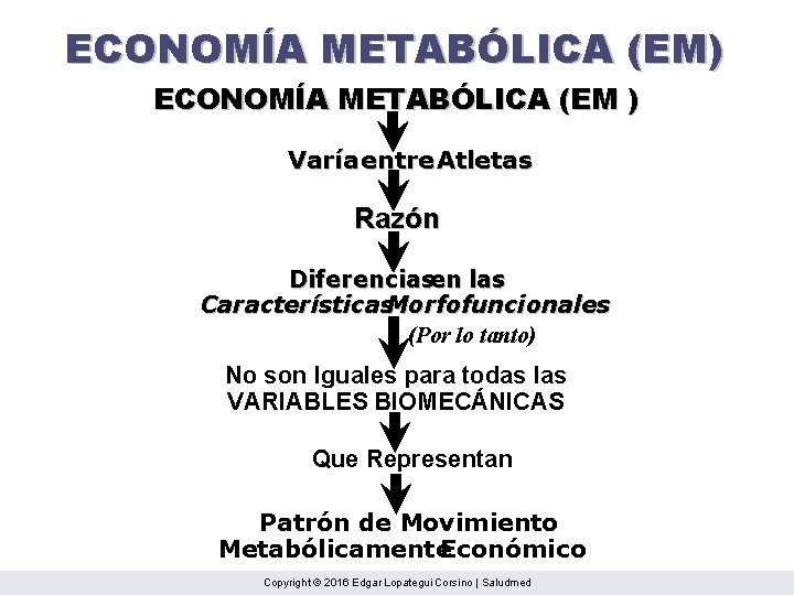 ECONOMÍA METABÓLICA (EM) ECONOMÍA METABÓLICA (EM ) Varía entre Atletas Razón Diferenciasen las Características.