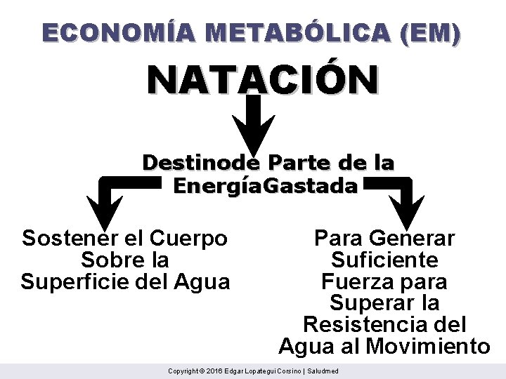 ECONOMÍA METABÓLICA (EM) NATACIÓN Destinode Parte de la Energía. Gastada Sostener el Cuerpo Sobre