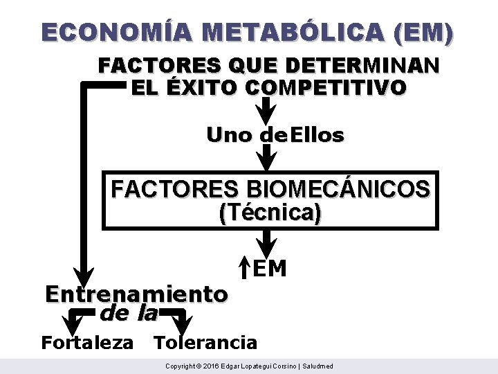 ECONOMÍA METABÓLICA (EM) FACTORES QUE DETERMINAN EL ÉXITO COMPETITIVO Uno de Ellos FACTORES BIOMECÁNICOS