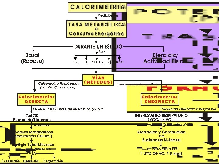 Copyright © 2016 Edgar Lopategui Corsino | Saludmed 