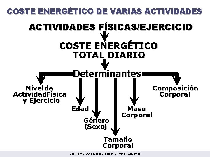 COSTE ENERGÉTICO DE VARIAS ACTIVIDADES FÍSICAS/EJERCICIO COSTE ENERGÉTICO TOTAL DIARIO Determinantes Nivel de Actividad.