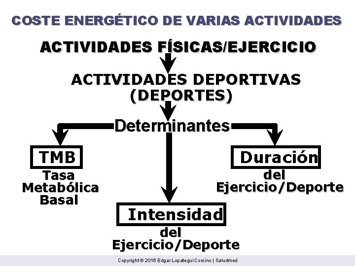 COSTE ENERGÉTICO DE VARIAS ACTIVIDADES FÍSICAS/EJERCICIO ACTIVIDADES DEPORTIVAS (DEPORTES) Determinantes TMB Duración Tasa Metabólica