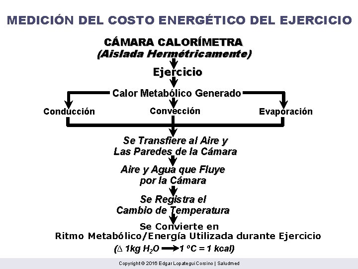 MEDICIÓN DEL COSTO ENERGÉTICO DEL EJERCICIO CÁMARA CALORÍMETRA (Aislada Hermétricamente) Ejercicio Calor Metabólico Generado