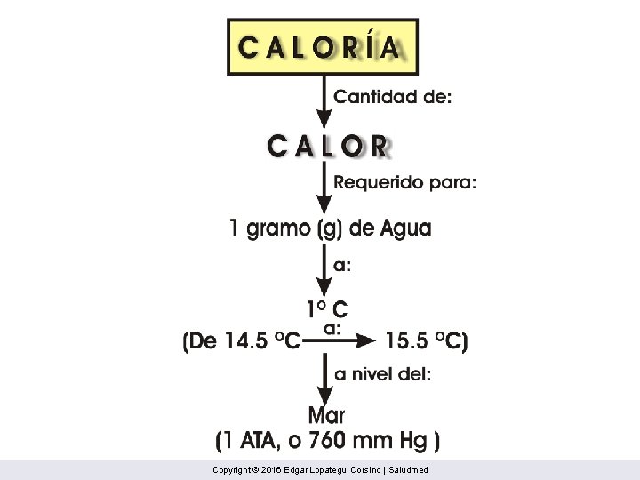 Copyright © 2016 Edgar Lopategui Corsino | Saludmed 