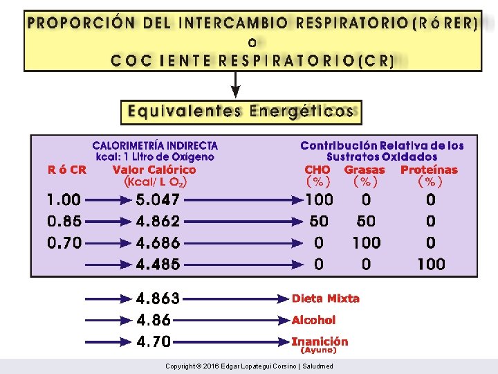 Copyright © 2016 Edgar Lopategui Corsino | Saludmed 