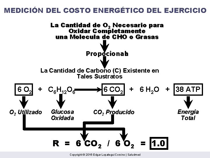 MEDICIÓN DEL COSTO ENERGÉTICO DEL EJERCICIO La Cantidad de O 2 Necesario para Oxidar