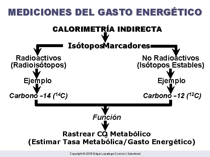 MEDICIONES DEL GASTO ENERGÉTICO CALORIMETRÍA INDIRECTA Isótopos. Marcadores Radioactivos (Radioisótopos) No Radioactivos (Isótopos Estables)