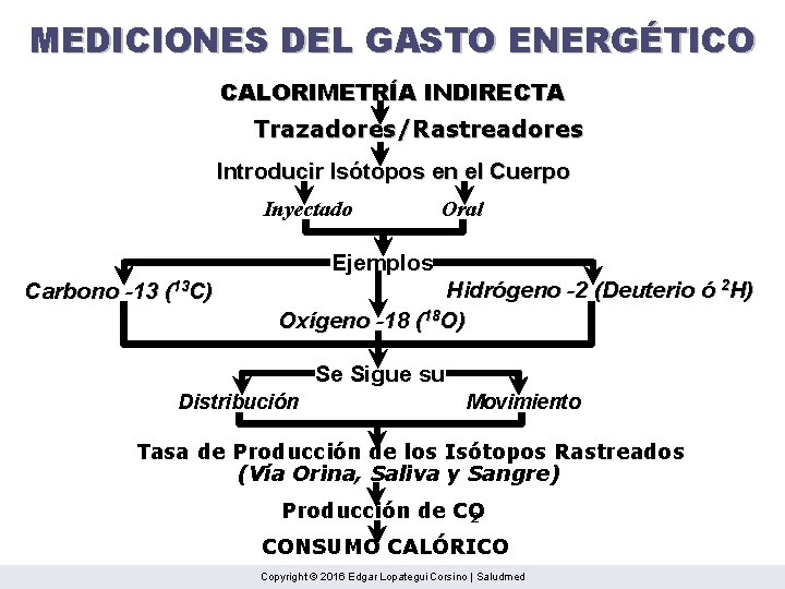 MEDICIONES DEL GASTO ENERGÉTICO CALORIMETRÍA INDIRECTA Trazadores/Rastreadores Introducir Isótopos en el Cuerpo Inyectado Oral