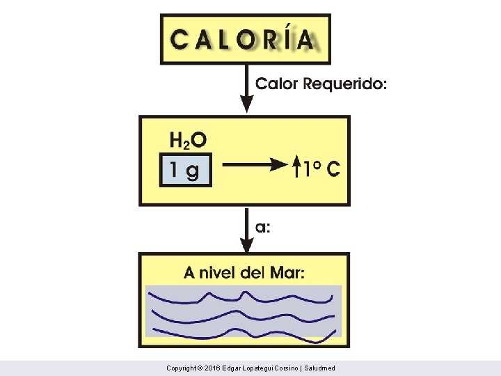 Copyright © 2016 Edgar Lopategui Corsino | Saludmed 