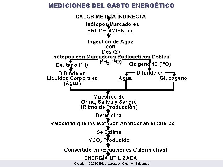 MEDICIONES DEL GASTO ENERGÉTICO CALORIMETRÍA INDIRECTA Isótopos Marcadores PROCEDIMIENTO: Ingestión de Agua con Dos