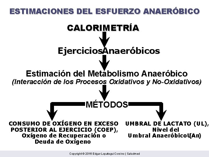 ESTIMACIONES DEL ESFUERZO ANAERÓBICO CALORIMETRÍA Ejercicios. Anaeróbicos Estimación del Metabolismo Anaeróbico (Interacción de los