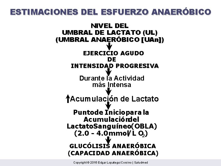 ESTIMACIONES DEL ESFUERZO ANAERÓBICO NIVEL DEL UMBRAL DE LACTATO (UL) (UMBRAL ANAERÓBICO [UAn]) EJERCICIO