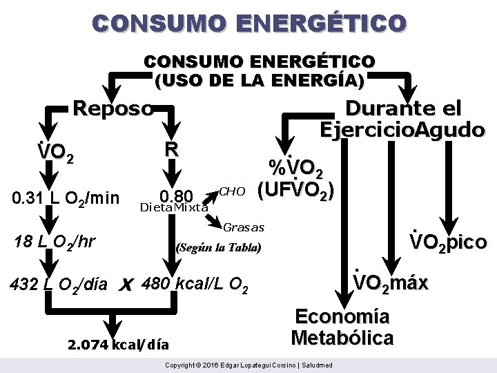 CONSUMO ENERGÉTICO (USO DE LA ENERGÍA) Reposo. VO 2 0. 31 L O 2/min