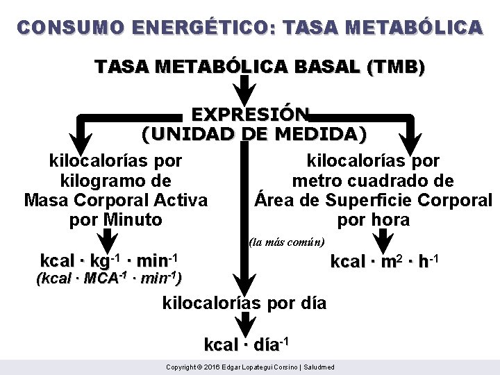 CONSUMO ENERGÉTICO: TASA METABÓLICA BASAL (TMB) EXPRESIÓN (UNIDAD DE MEDIDA) kilocalorías por kilogramo de