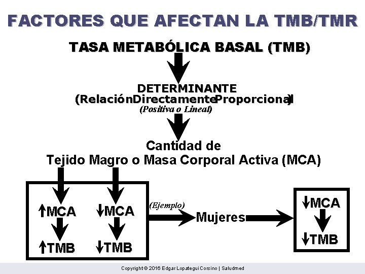 FACTORES QUE AFECTAN LA TMB/TMR TASA METABÓLICA BASAL (TMB) DETERMINANTE (Relación. Directamente. Proporcional )