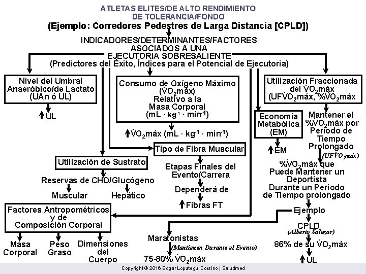 ATLETAS ELITES/DE ALTO RENDIMIENTO DE TOLERANCIA/FONDO (Ejemplo: Corredores Pedestres de Larga Distancia [CPLD]) INDICADORES/DETERMINANTES/FACTORES