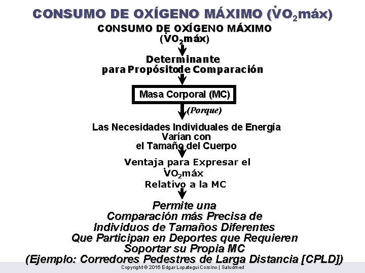 . CONSUMO DE OXÍGENO MÁXIMO (VO 2 máx) CONSUMO DE. OXÍGENO MÁXIMO (VO 2