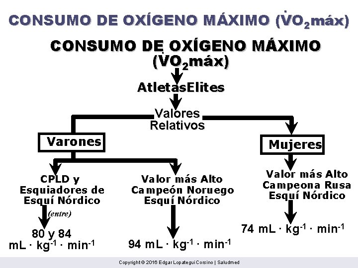 . CONSUMO DE OXÍGENO MÁXIMO (VO 2 máx) CONSUMO DE. OXÍGENO MÁXIMO (VO 2