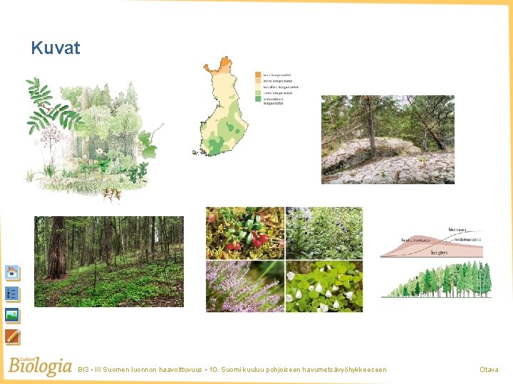 Kuvat BI 3 • III Suomen luonnon haavoittuvuus • 10. Suomi kuuluu pohjoiseen havumetsävyöhykkeeseen