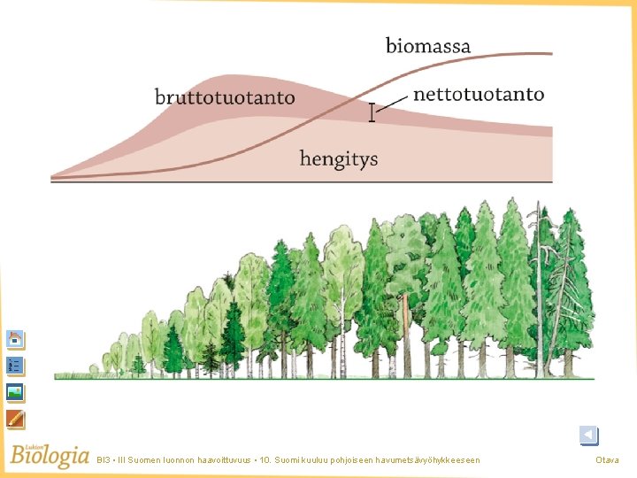 BI 3 • III Suomen luonnon haavoittuvuus • 10. Suomi kuuluu pohjoiseen havumetsävyöhykkeeseen Otava