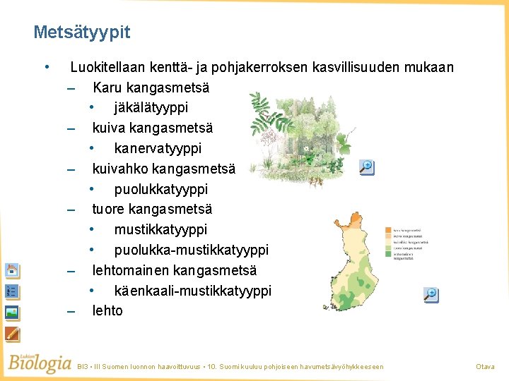 Metsätyypit • Luokitellaan kenttä- ja pohjakerroksen kasvillisuuden mukaan – Karu kangasmetsä • jäkälätyyppi –