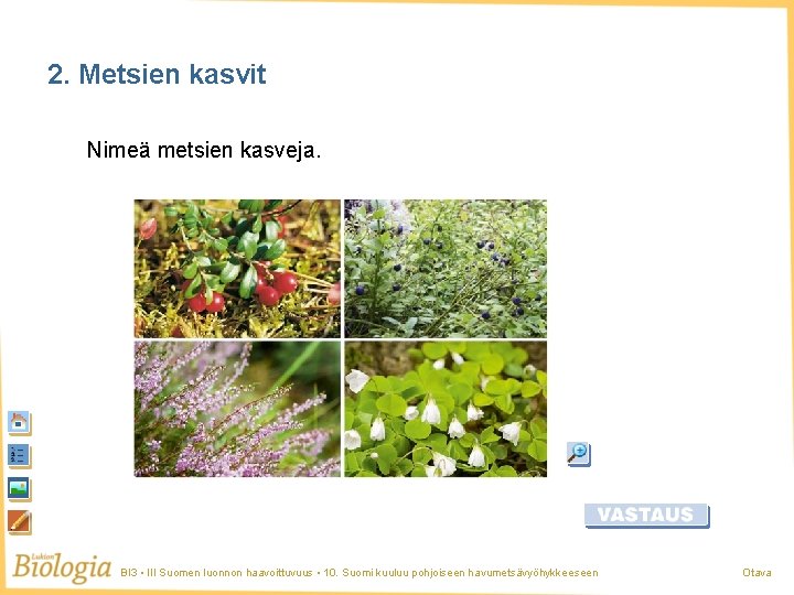 2. Metsien kasvit Nimeä metsien kasveja. BI 3 • III Suomen luonnon haavoittuvuus •