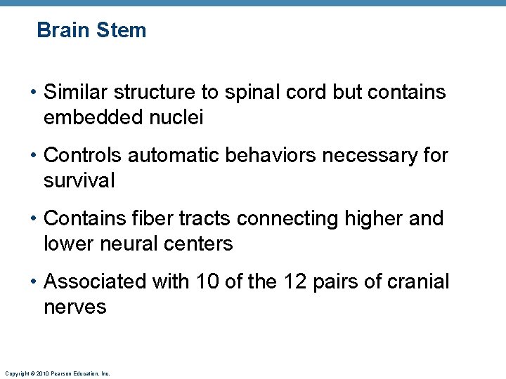 Brain Stem • Similar structure to spinal cord but contains embedded nuclei • Controls