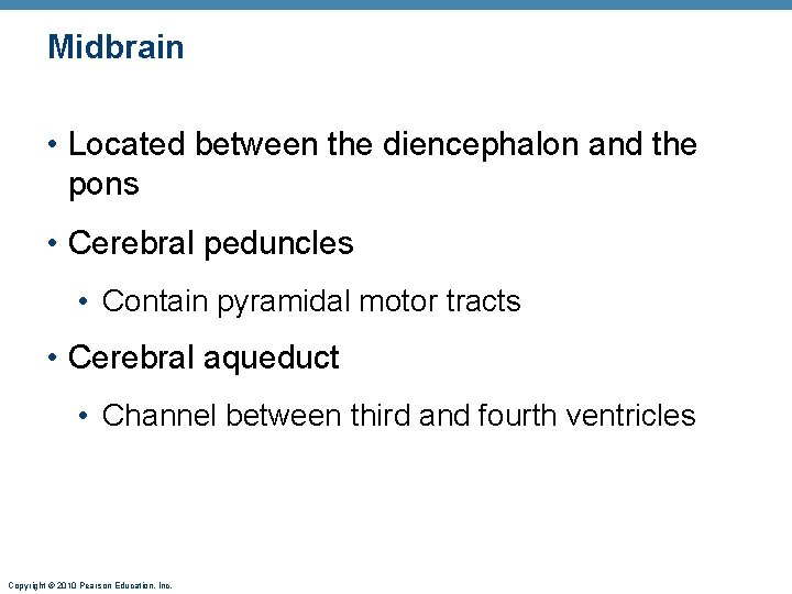 Midbrain • Located between the diencephalon and the pons • Cerebral peduncles • Contain