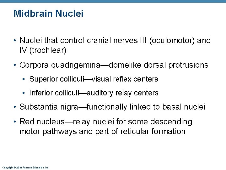 Midbrain Nuclei • Nuclei that control cranial nerves III (oculomotor) and IV (trochlear) •
