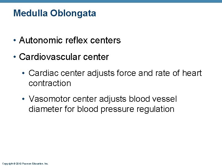 Medulla Oblongata • Autonomic reflex centers • Cardiovascular center • Cardiac center adjusts force